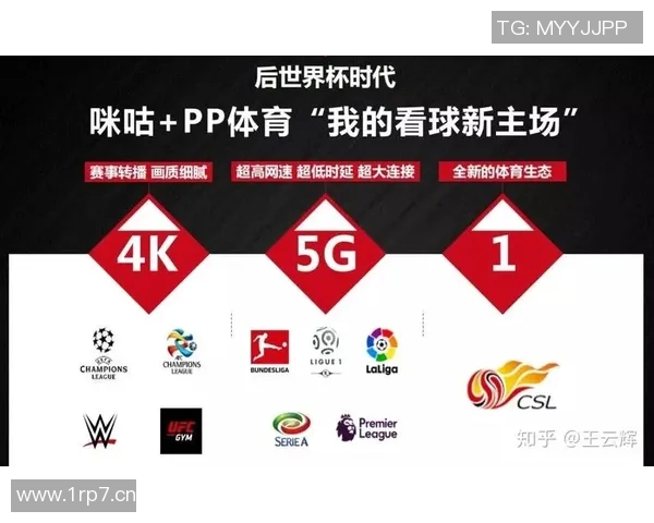 广州足球队实力解析：从历史成就到未来展望的全面分析